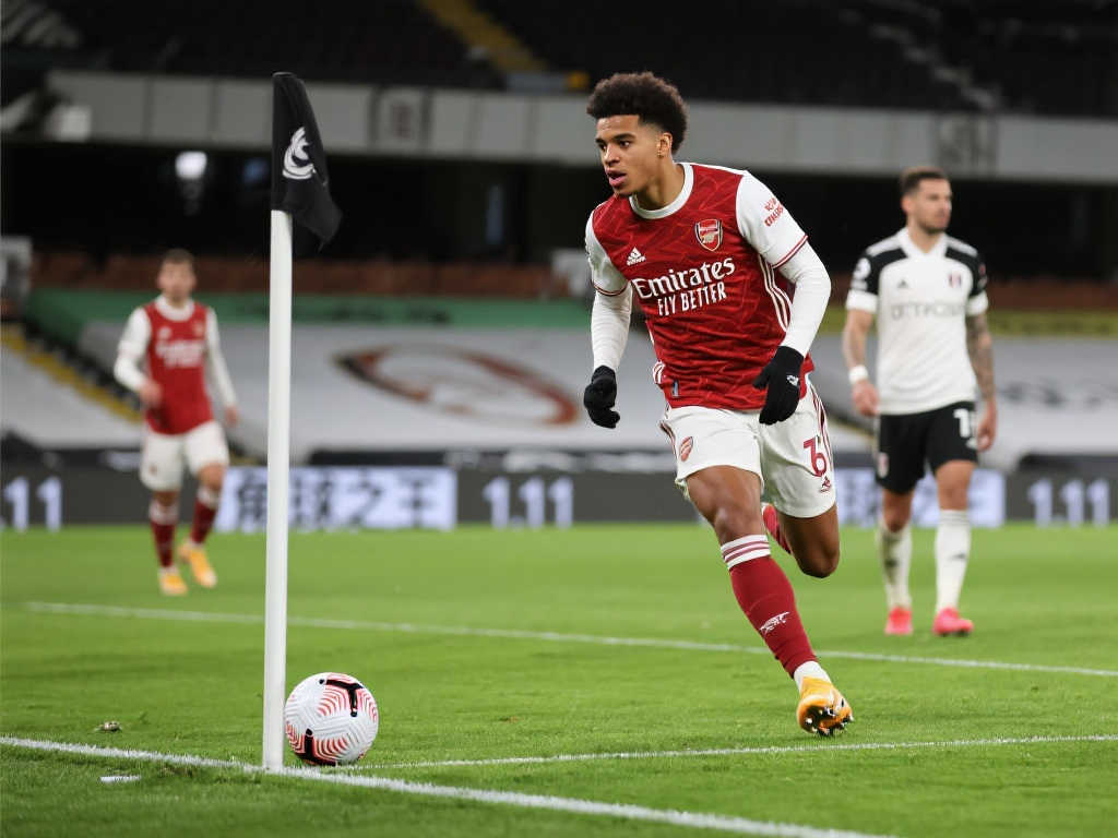 引入意大利 引入意大利