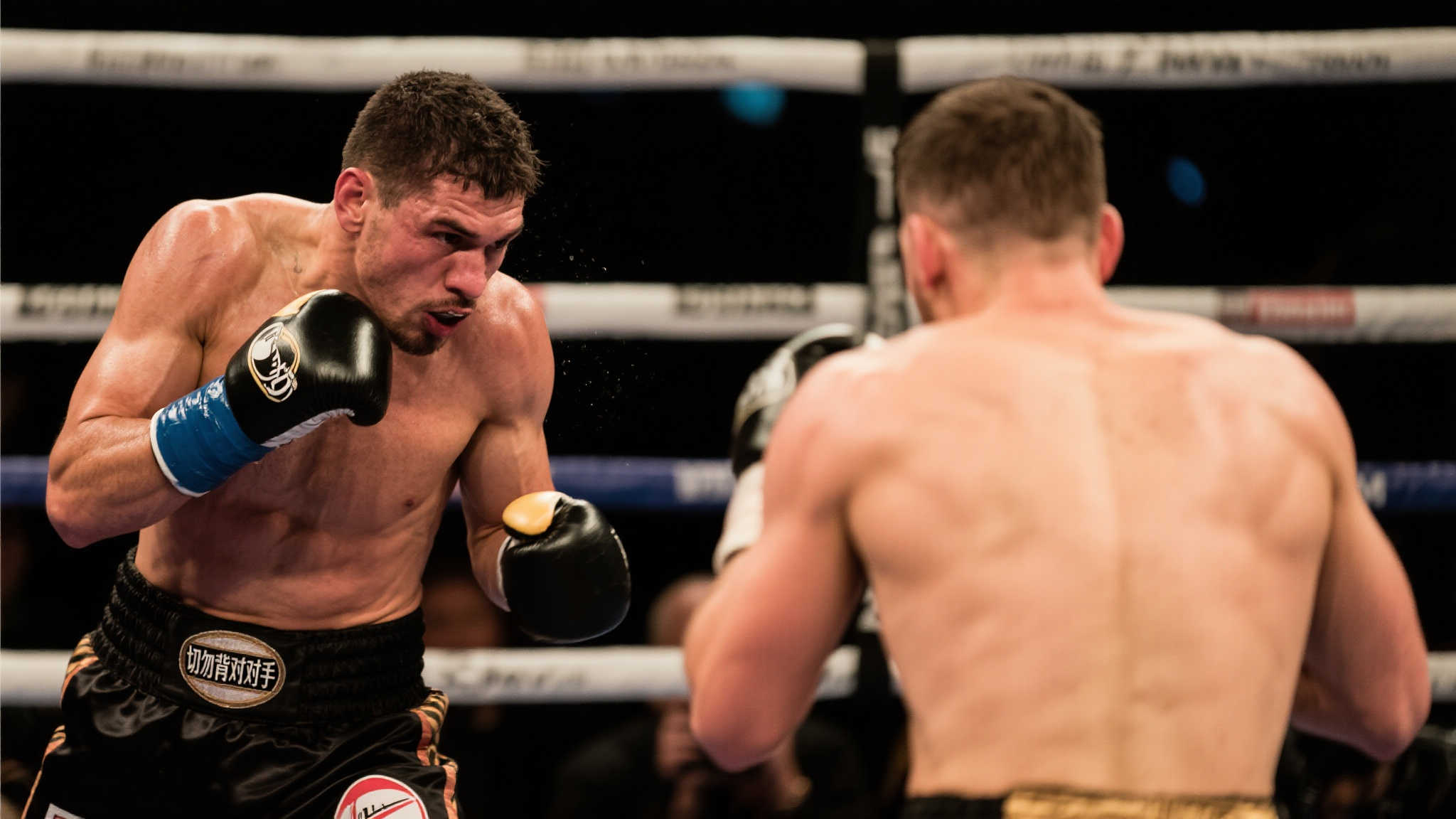 展與情感聯 展與情感聯